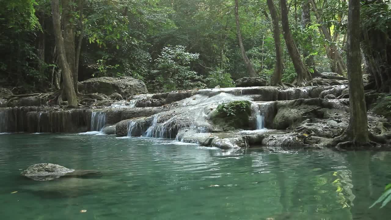 Free Video Stock Small Waterfall In A Forest Stream Live Wallpaper
