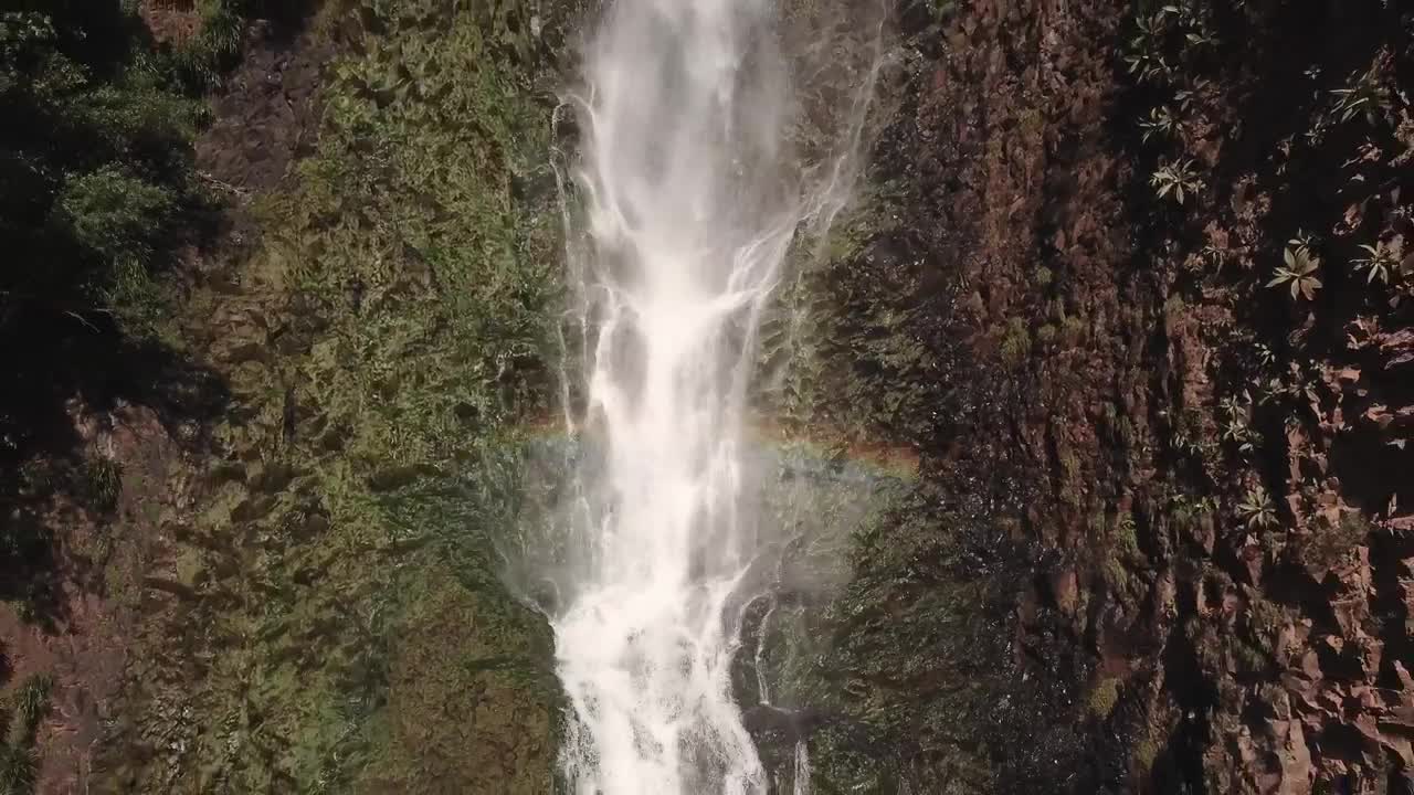 Free Video Stock Small Waterfall Live Wallpaper