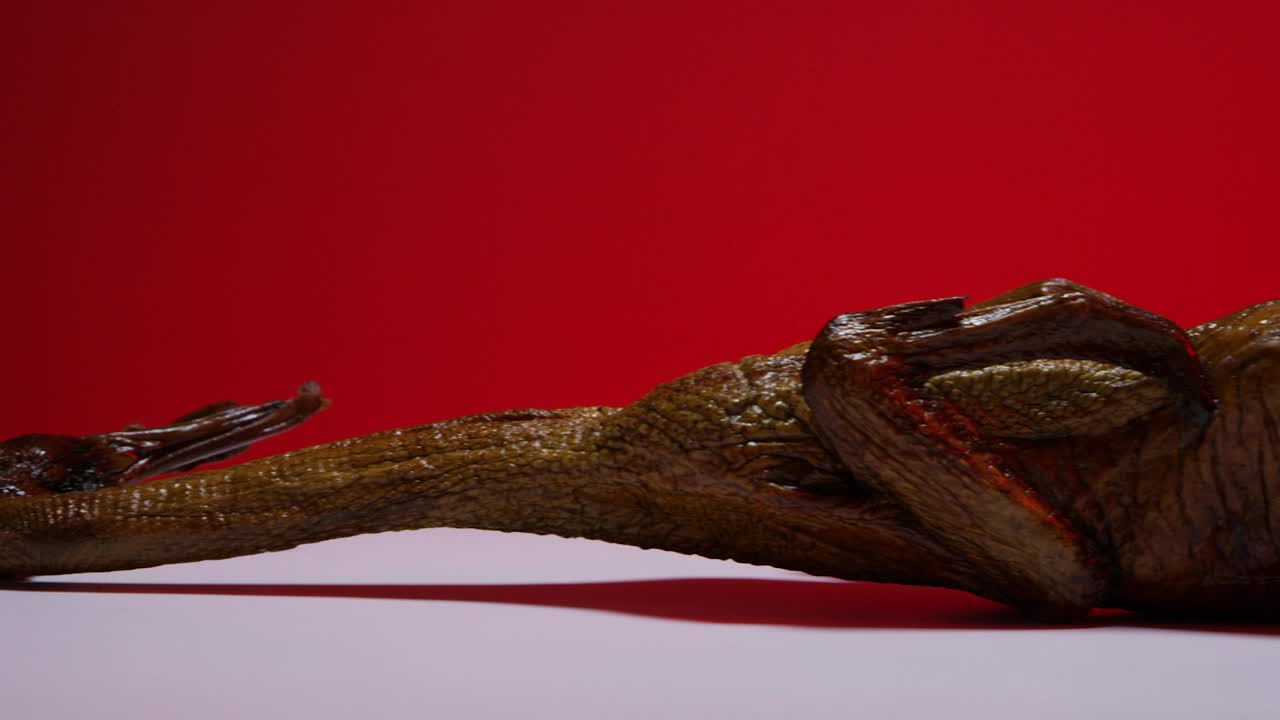 Free Video Stock Smoke Duck On A White Surface Live Wallpaper