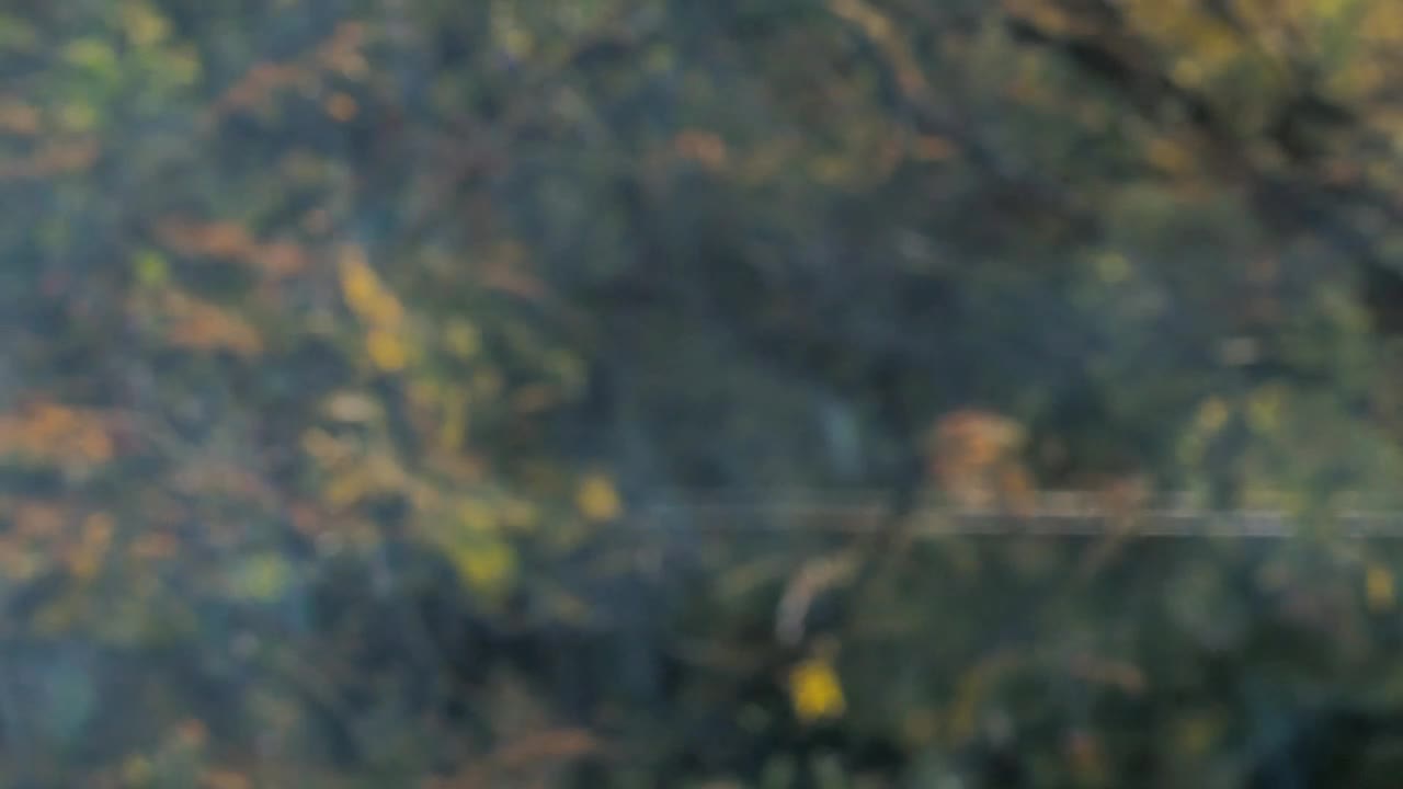 Free Video Stock Smoke On An Unfocused Background Live Wallpaper