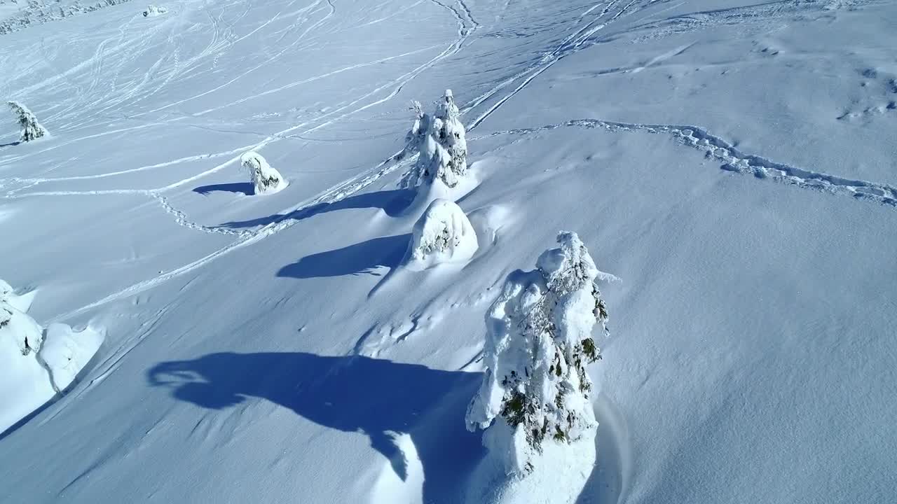 Free Video Stock Snow Covered Pine Trees Near A Ski Station Live Wallpaper