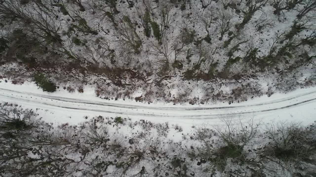 Free Video Stock Snow Covered Tracks Between Woodland Live Wallpaper
