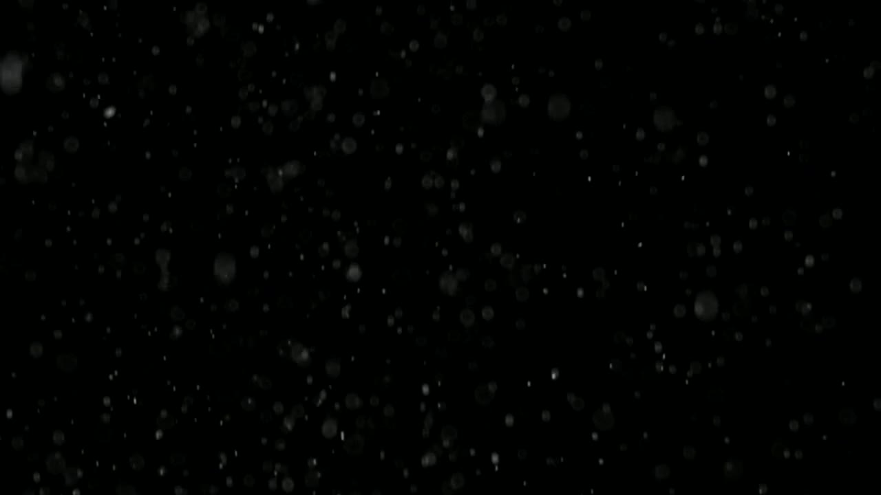 Free Video Stock Snow Falling Gently Live Wallpaper