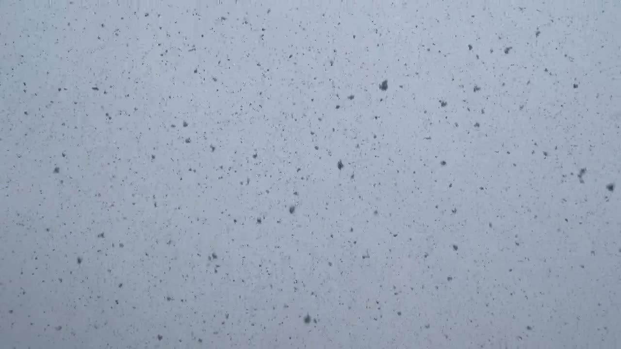Free Video Stock Snow Falling Live Wallpaper