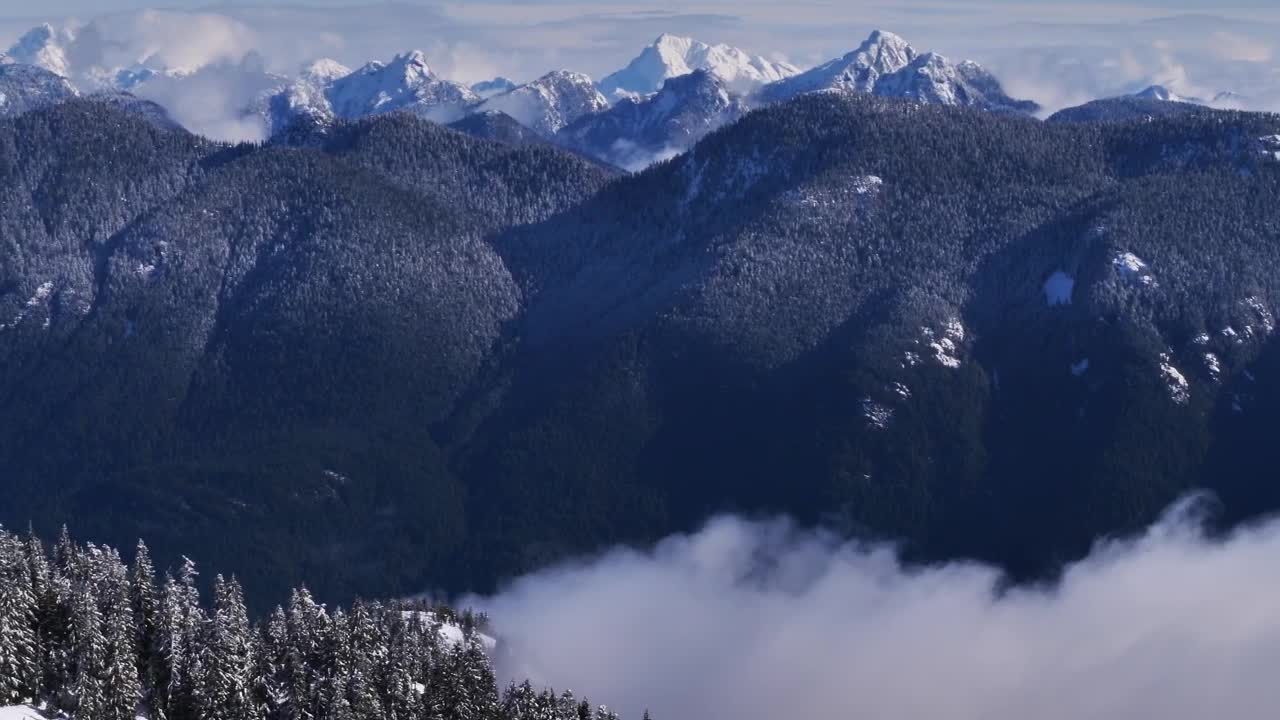 Free Video Stock Snow Mountains Pine Covered Live Wallpaper