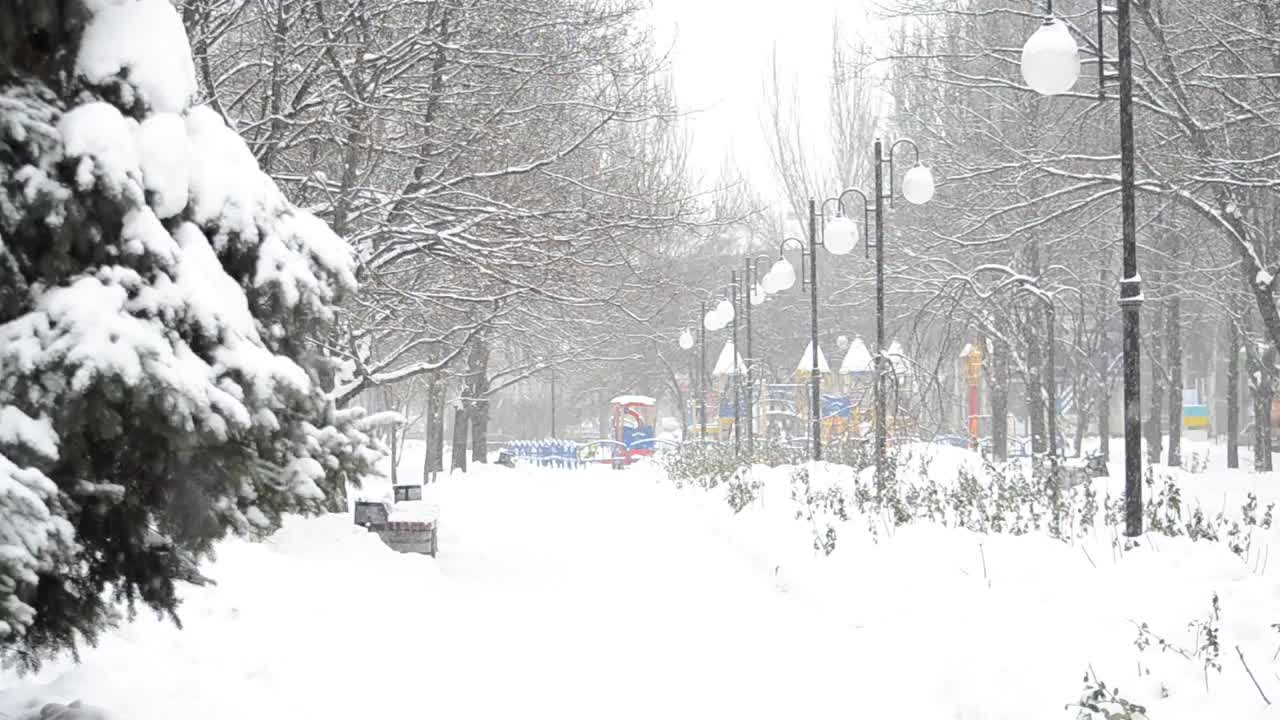 Free Video Stock Snowfall Over A City Park Live Wallpaper