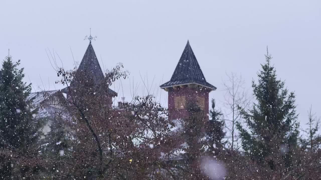 Free Video Stock Snowing Softly In Winter Live Wallpaper