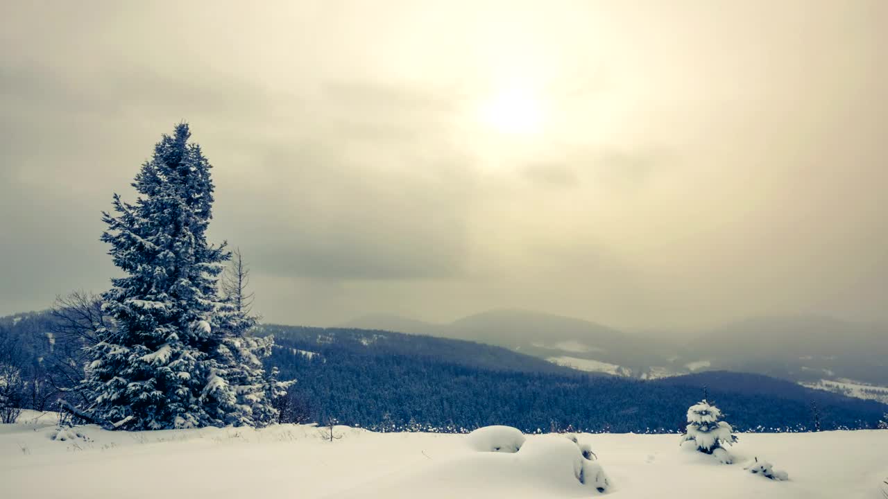 Free Video Stock Snowstorm And Fog Time Lapse Live Wallpaper