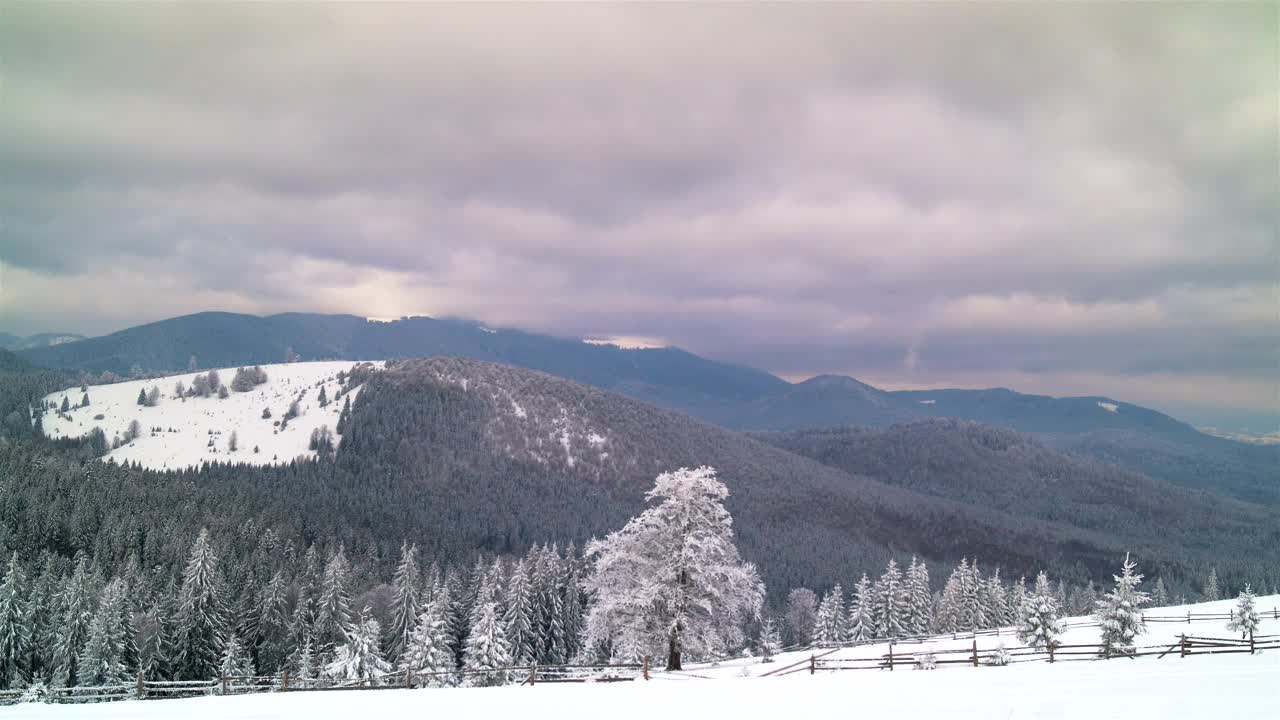 Free Video Stock Snowy Forest And Mountain With Cloudy Sky Live Wallpaper