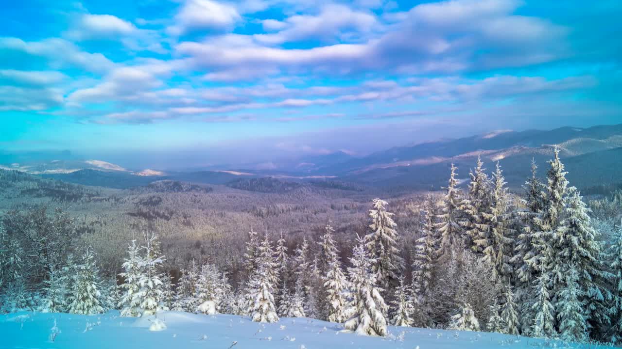 Free Video Stock Snowy Forest In The Mountain Landscape Live Wallpaper