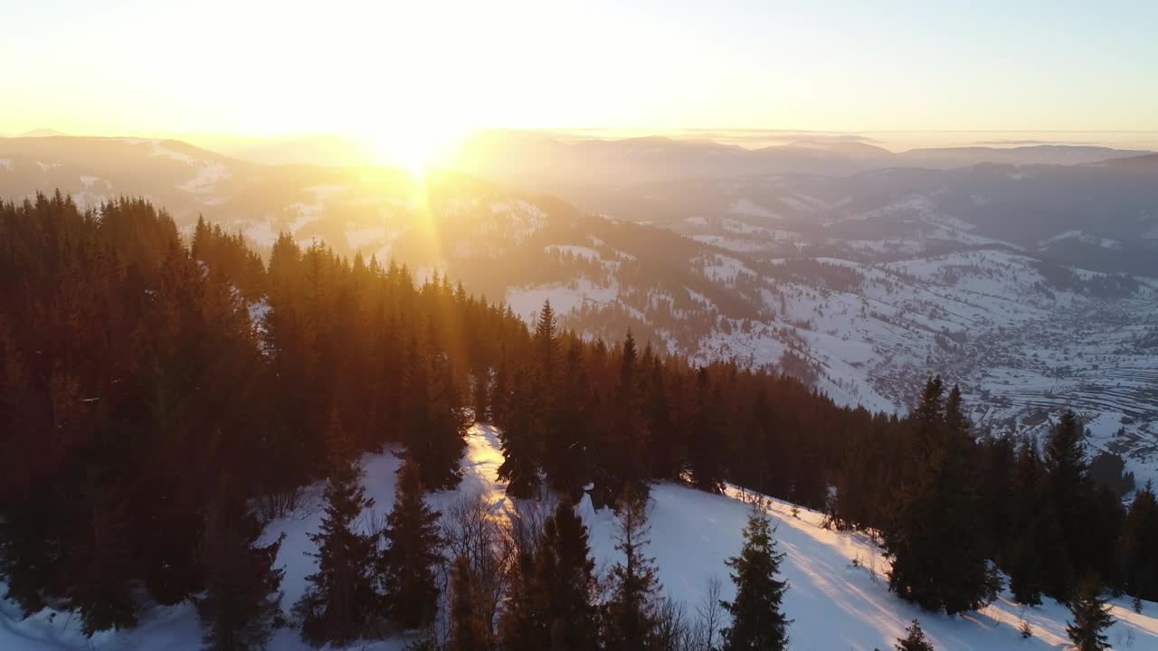 Free Video Stock Snowy Mountain Pine Trees Receiving The Sun Live Wallpaper