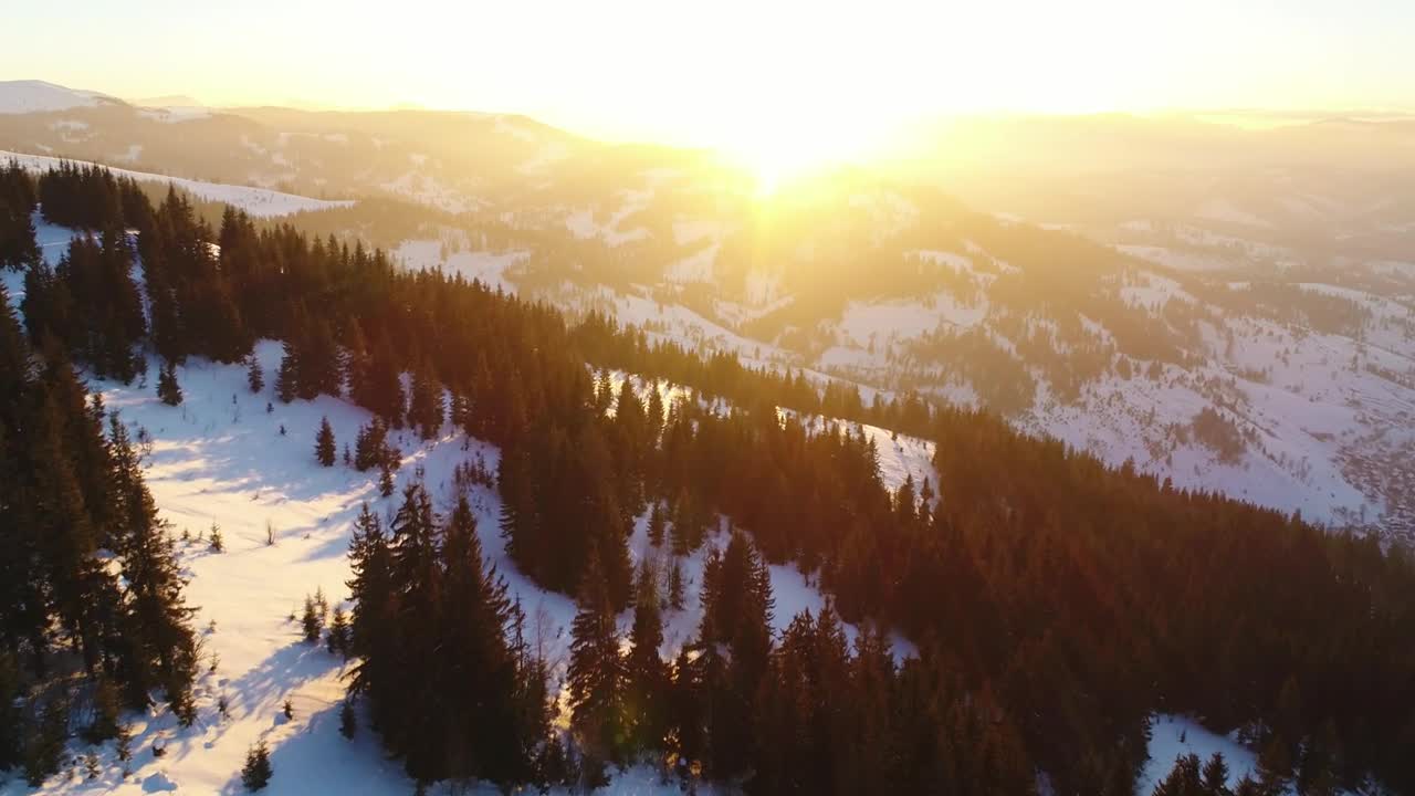 Free Video Stock Snowy Mountains With Pine Trees During Sunrise Live Wallpaper