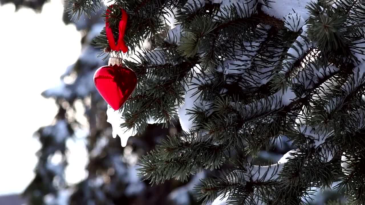Free Video Stock Snowy Pine With Heart Decoration Live Wallpaper