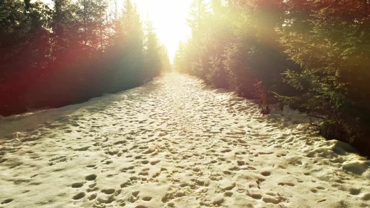 Free Video Stock Snowy Road With Footprints In A Snowy Forest Live Wallpaper