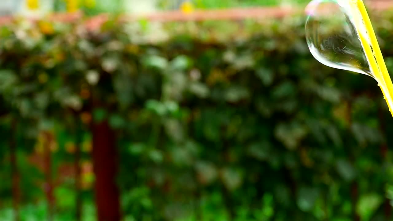 Free Video Stock Soap Bubbles Flying Live Wallpaper