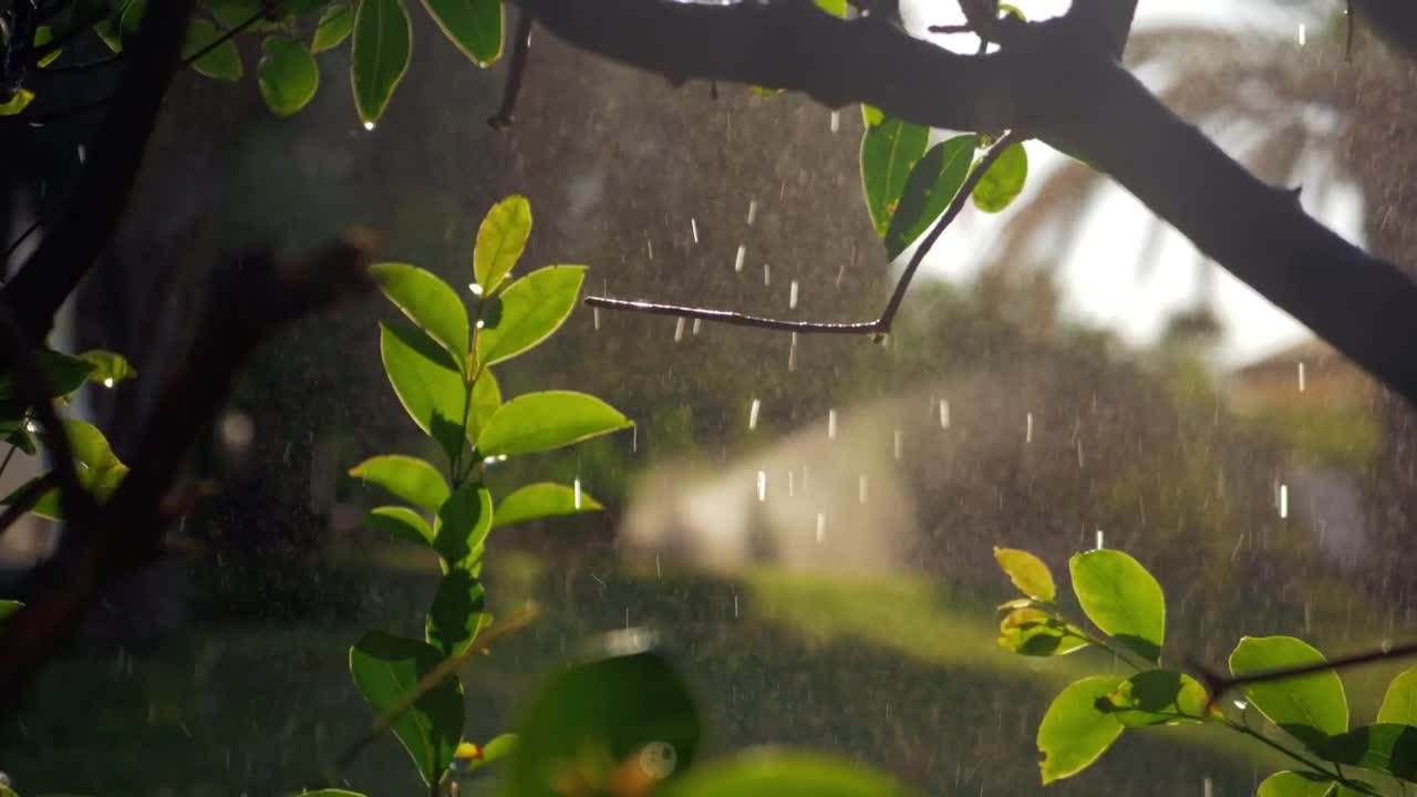 Free Video Stock Soft Rain And Sun Shine Live Wallpaper