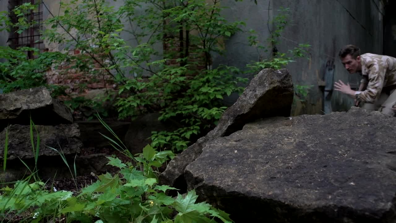 Free Video Stock Soldier Lurking In The Woods Live Wallpaper