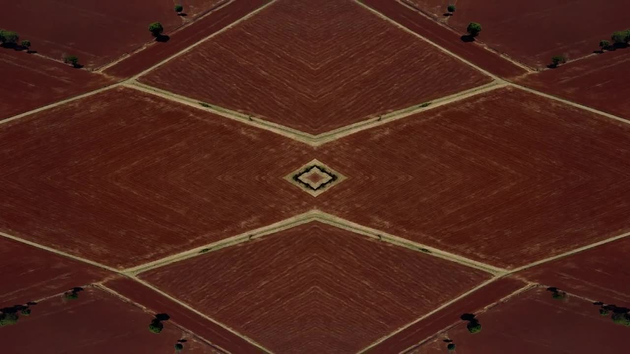 Free Video Stock Sowing Red Ground Live Wallpaper