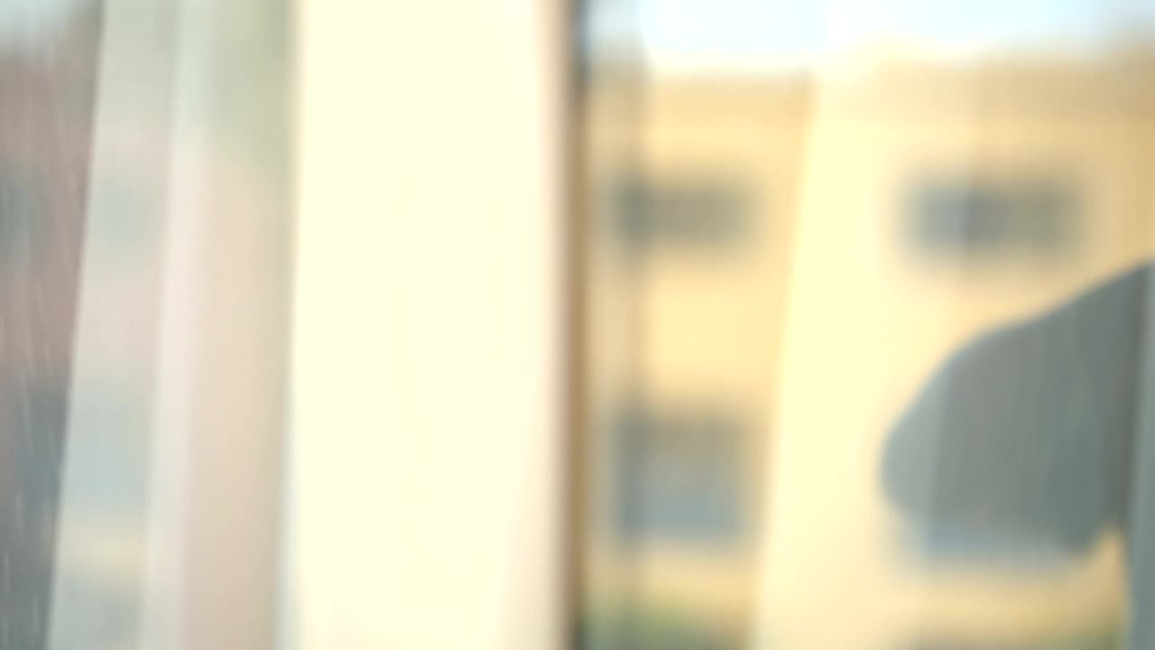 Free Video Stock Spraying Cleaning Fluid On A Window Live Wallpaper