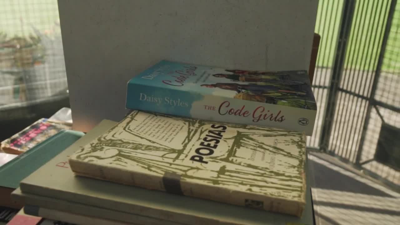 Free Video Stock Stacked Books Live Wallpaper