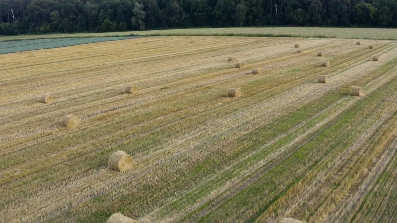 Free Video Stock Stacks Of Hay On The Field Live Wallpaper