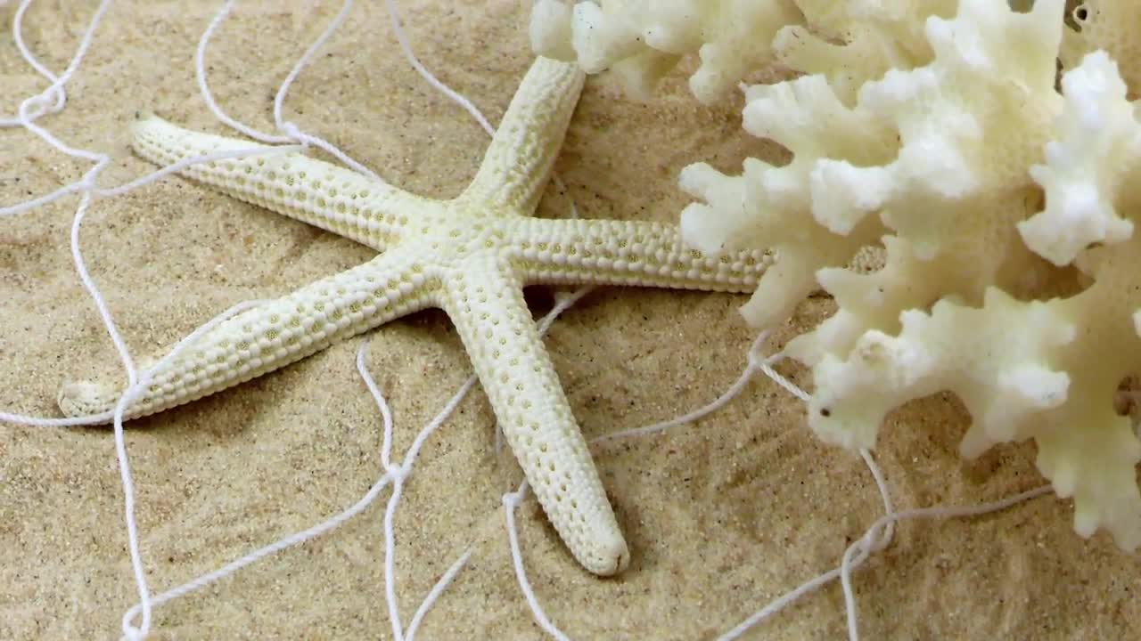 Free Video Stock Starfish And A Small Coral On The Fishing Net In Live Wallpaper