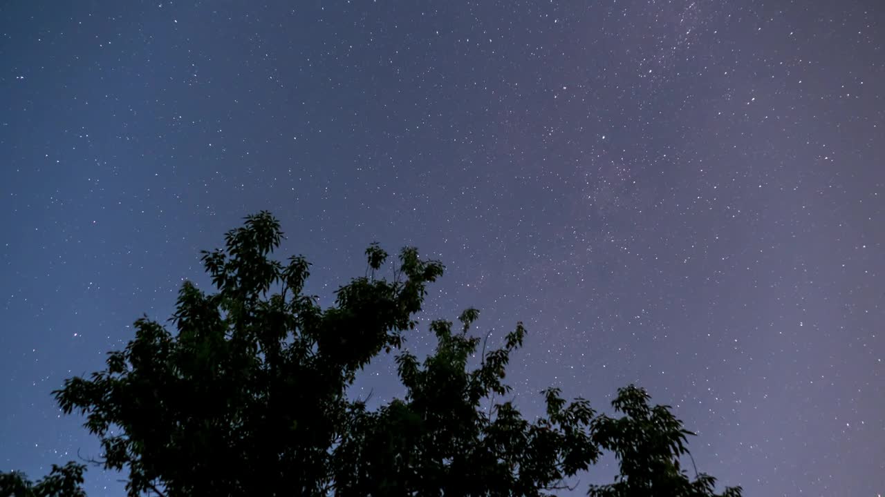 Free Video Stock Starry Sky And The Silhouette Of A Tree Live Wallpaper