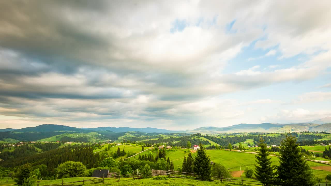 Free Video Stock Static Shot In A Big Meadow Live Wallpaper