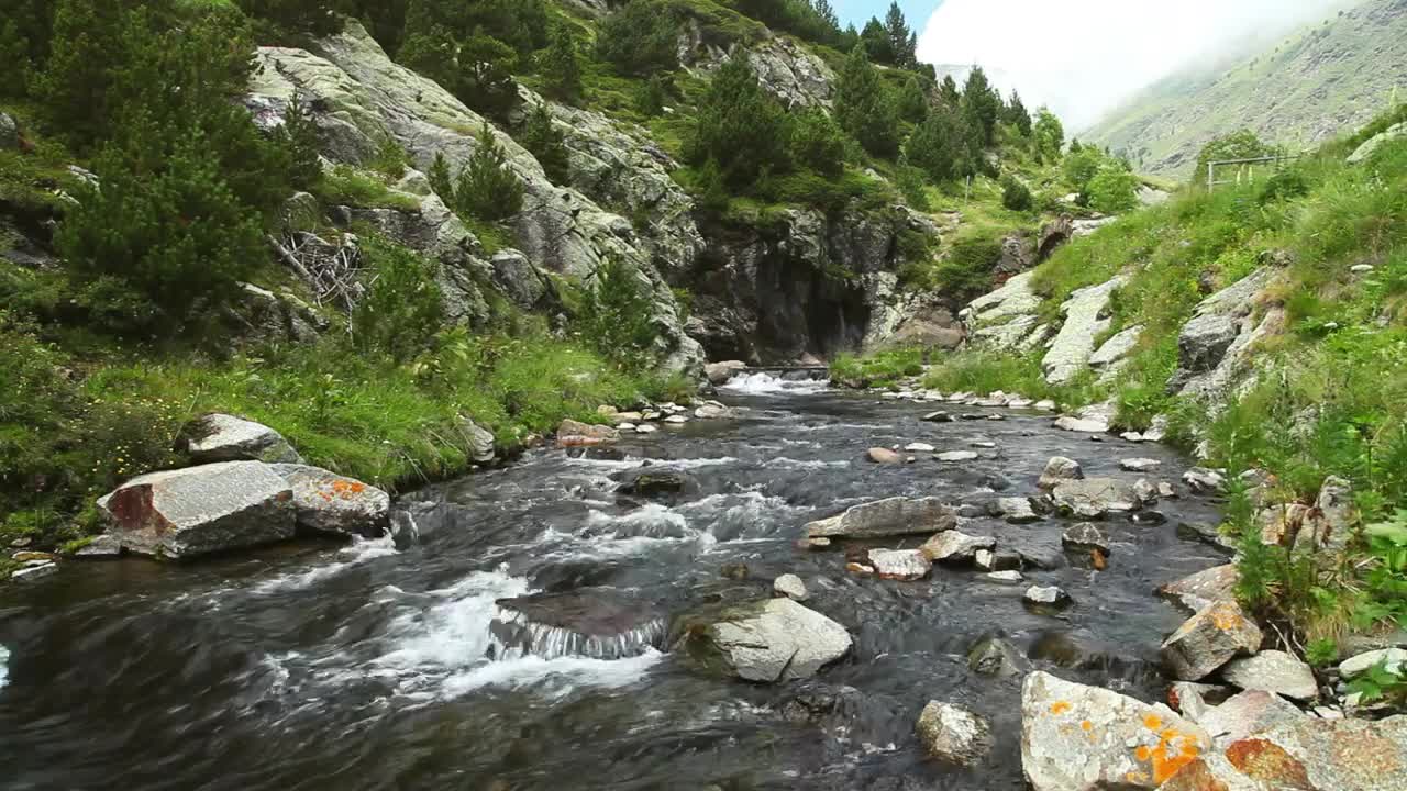 Free Video Stock Static Shot Of A Stream In A Forest Live Wallpaper