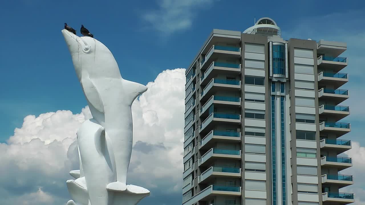 Free Video Stock Statue Of A Dolphin In The City Live Wallpaper