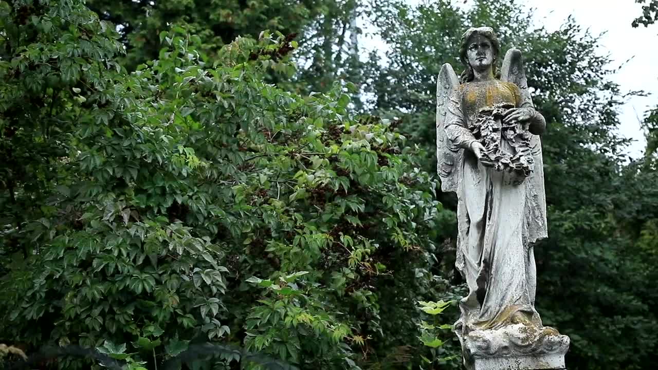 Free Video Stock Statue Of An Angel Live Wallpaper