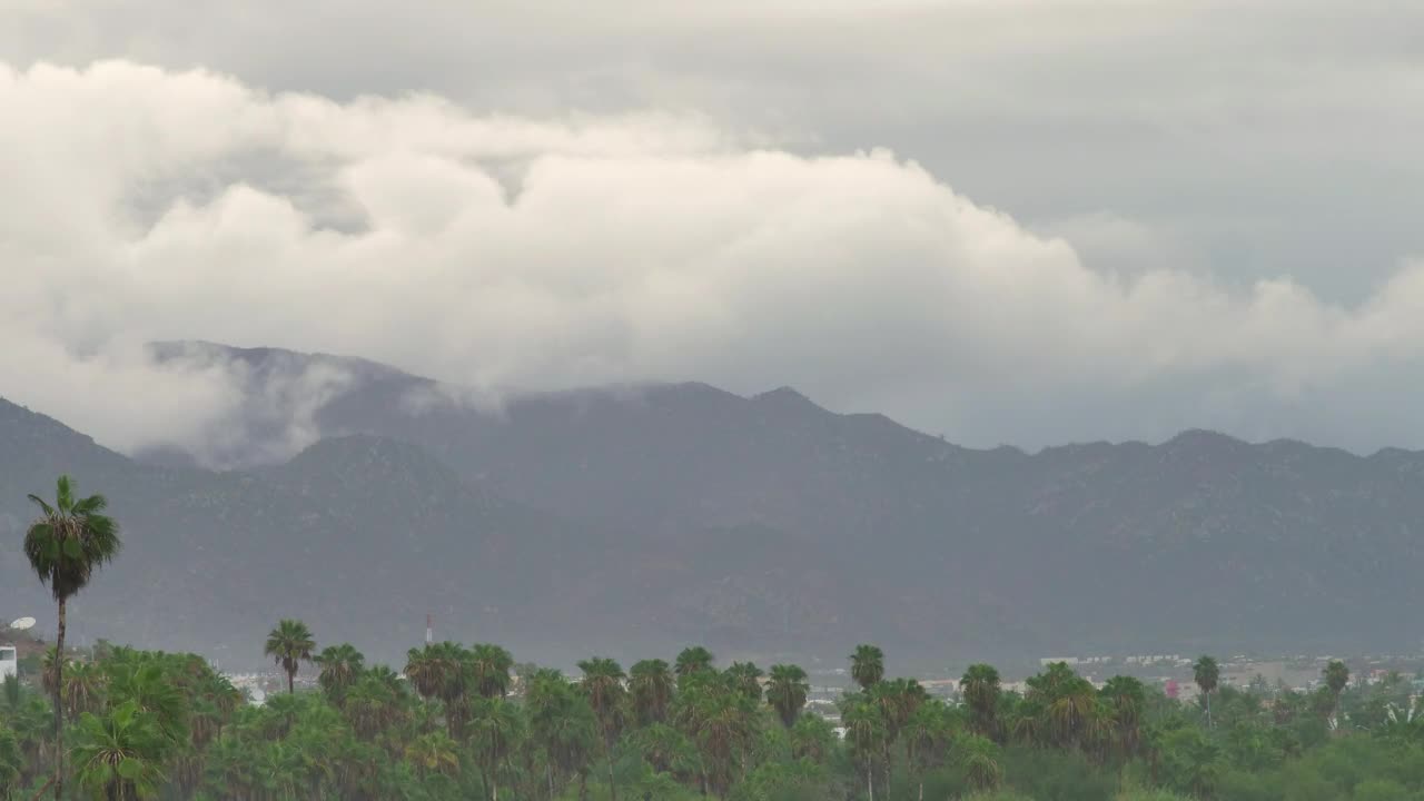 Free Video Stock Stormy Day At Beach Live Wallpaper