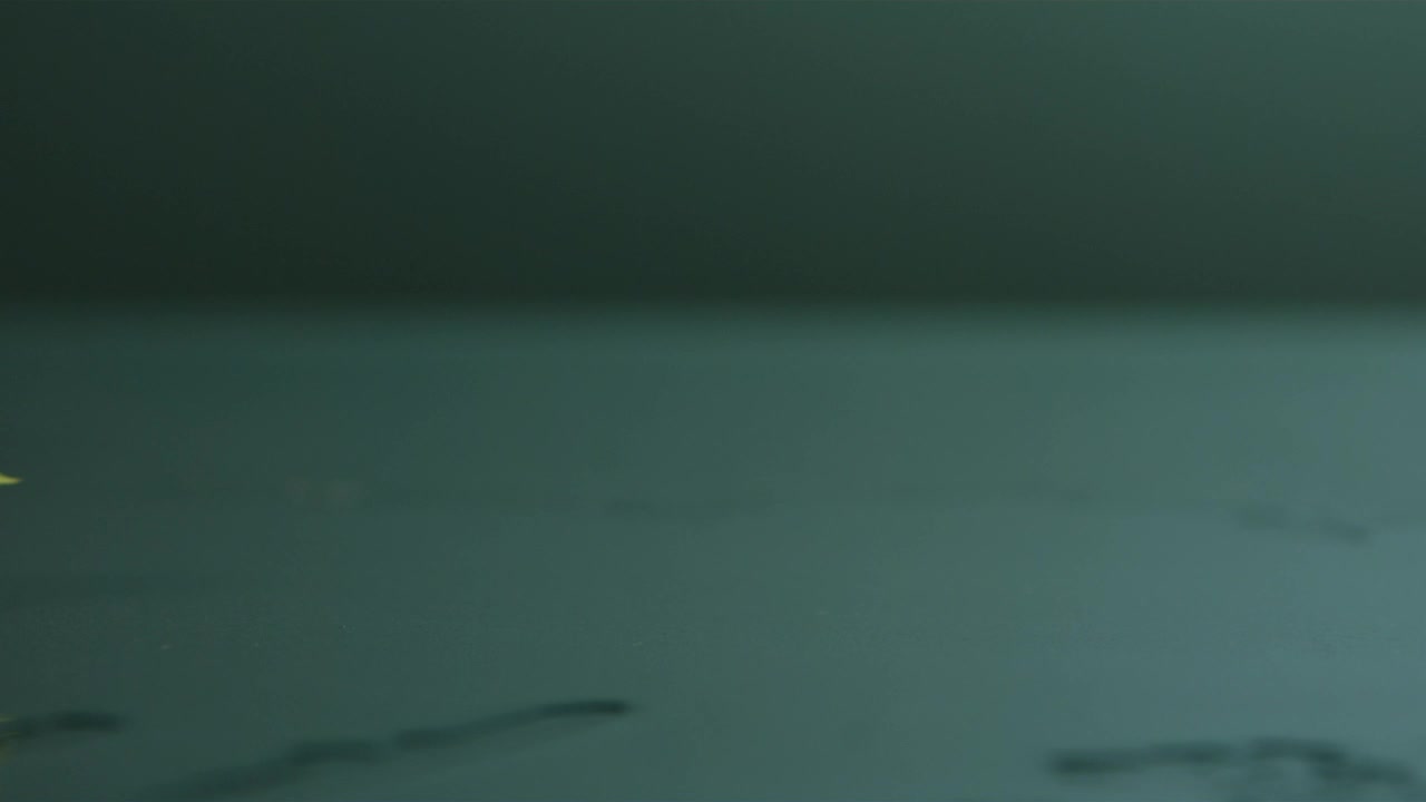 Free Video Stock Strawberrie Bouncing In Slow Motion Live Wallpaper