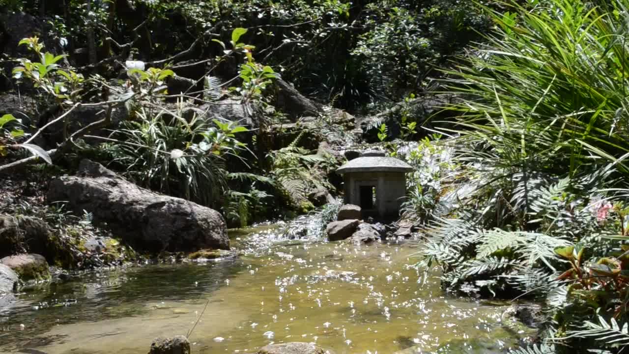 Free Video Stock Stream Flowing Gently Live Wallpaper