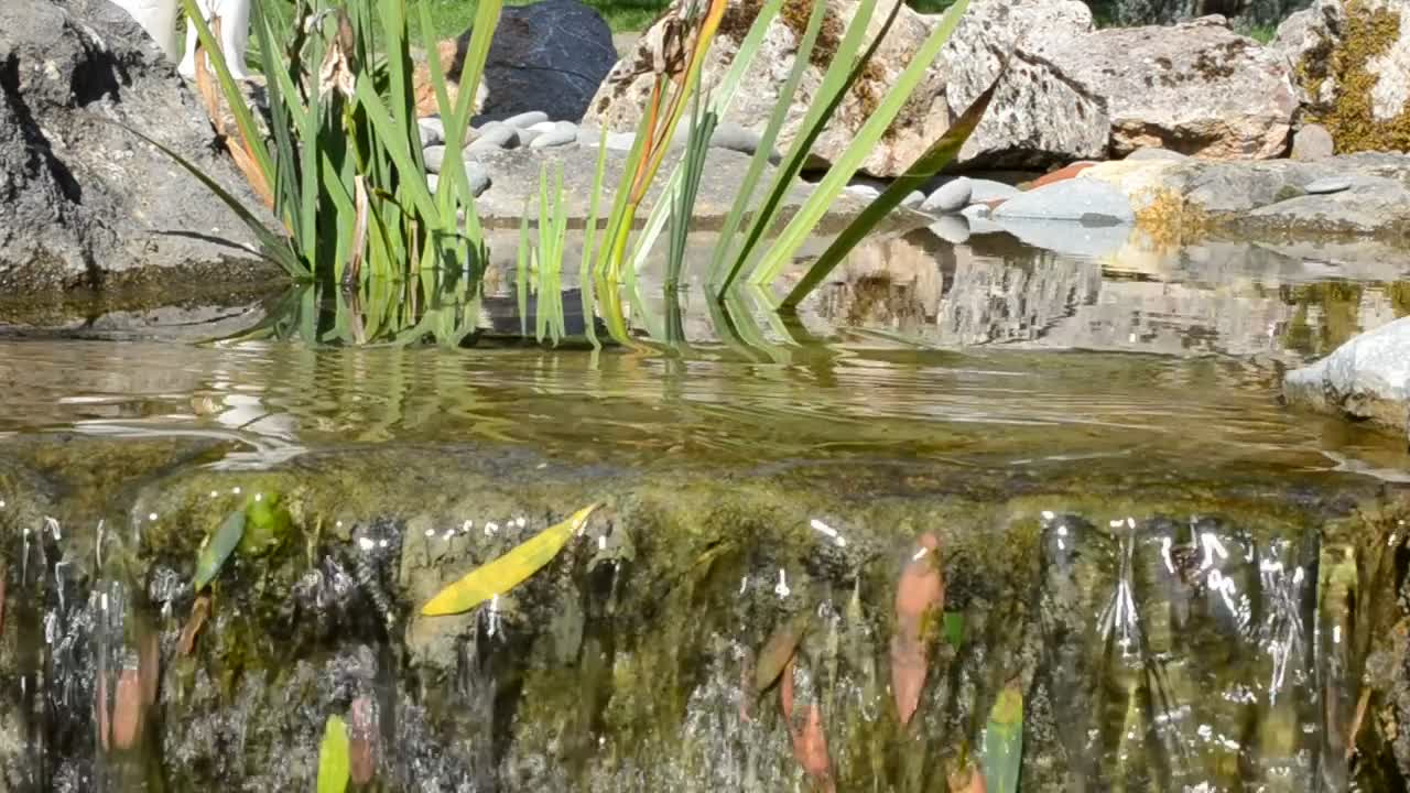Free Video Stock Stream Flowing Over Rocks Live Wallpaper