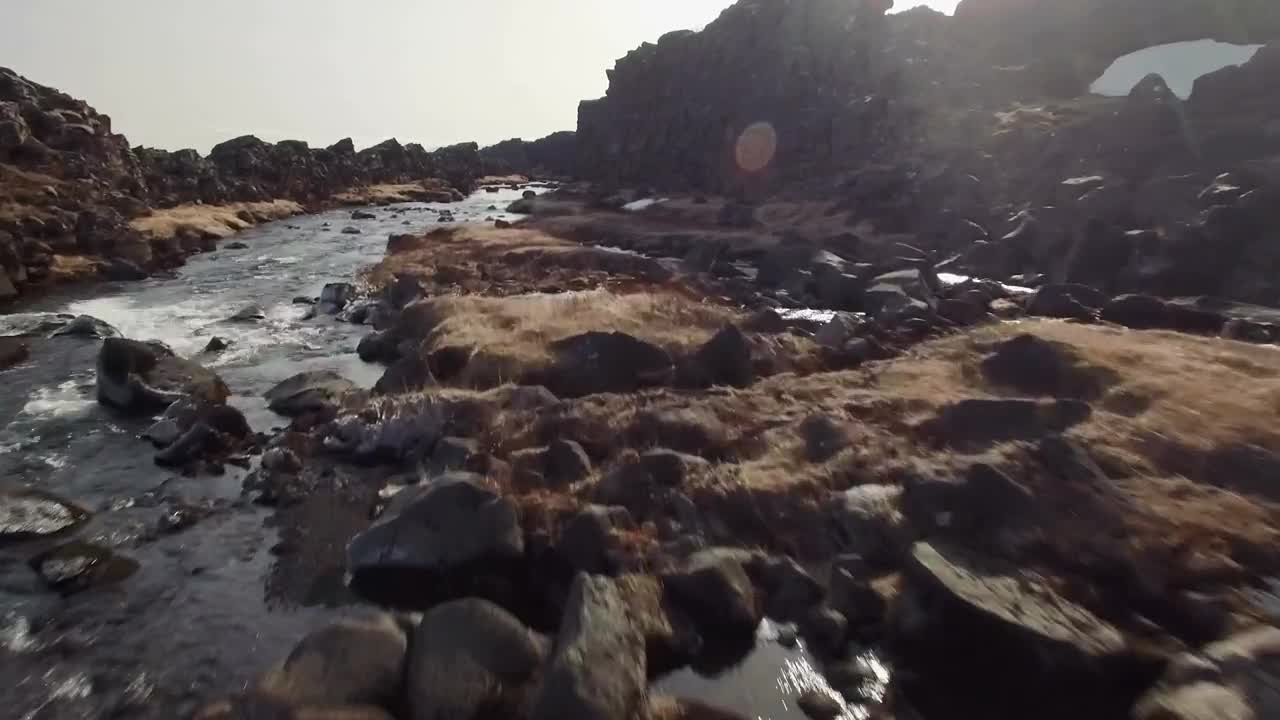 Free Video Stock Stream Flowing Through Moss Live Wallpaper