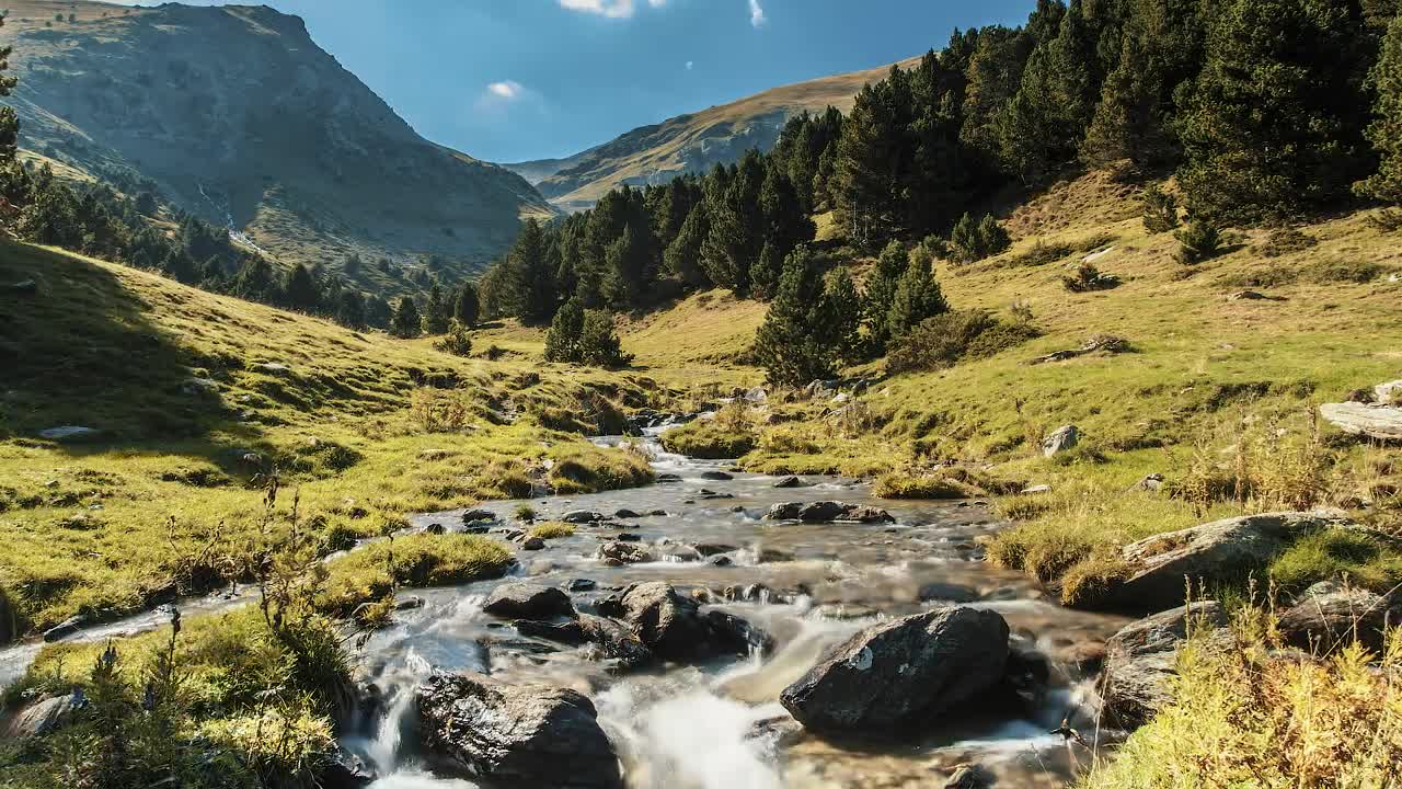 Free Video Stock Stream Through A Beautiful Valley Live Wallpaper
