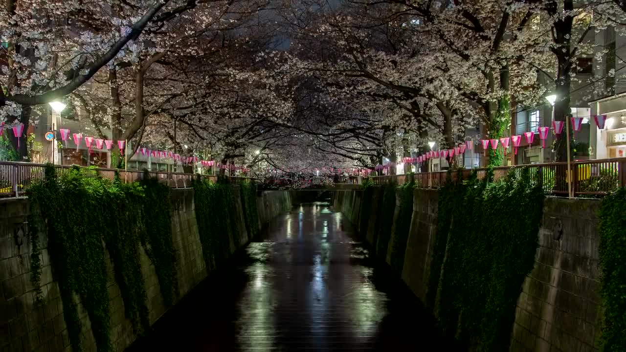 Free Video Stock Stream With Water In The City At Night Live Wallpaper