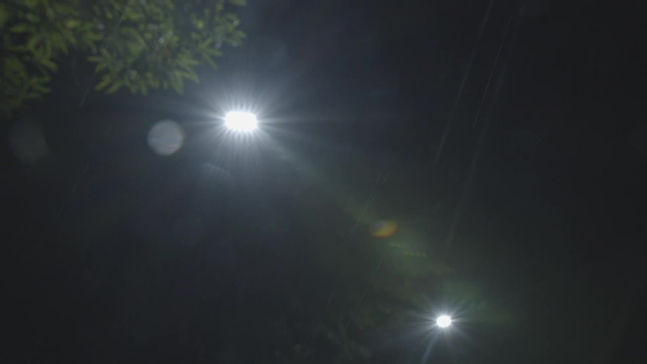 Free Video Stock Street Lamps At Night Live Wallpaper