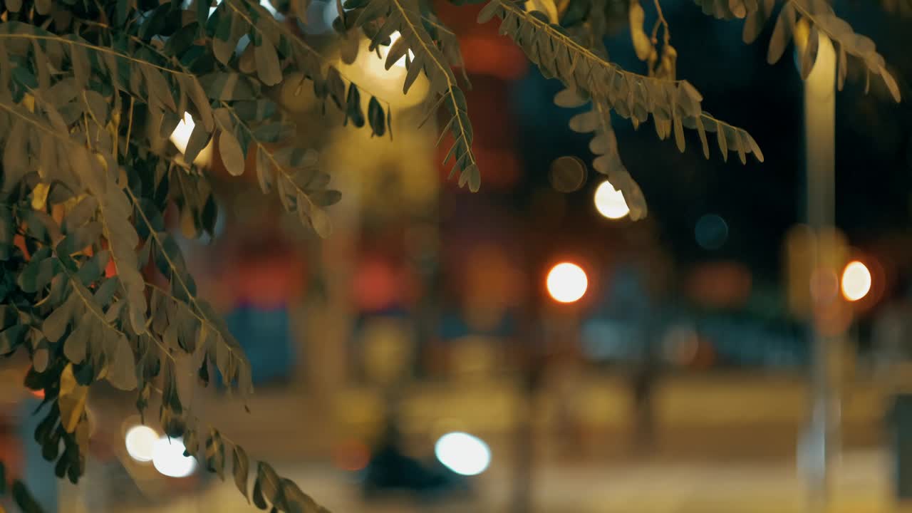 Free Video Stock Street Lights Late At Night Live Wallpaper