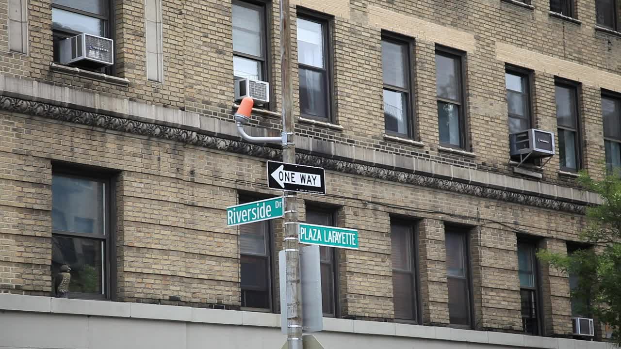 Free Video Stock Street Signs By A Building Live Wallpaper