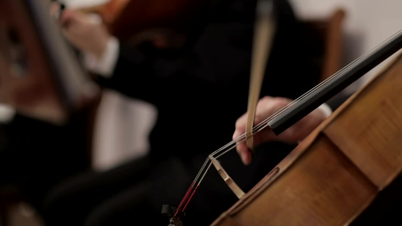 Free Video Stock String Orchestra Live Wallpaper