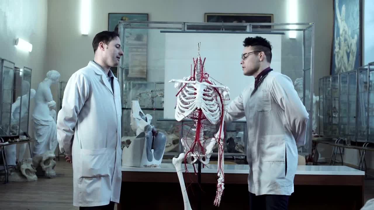 Free Video Stock Studying Human Anatomy With Dummy Skeleton Live Wallpaper