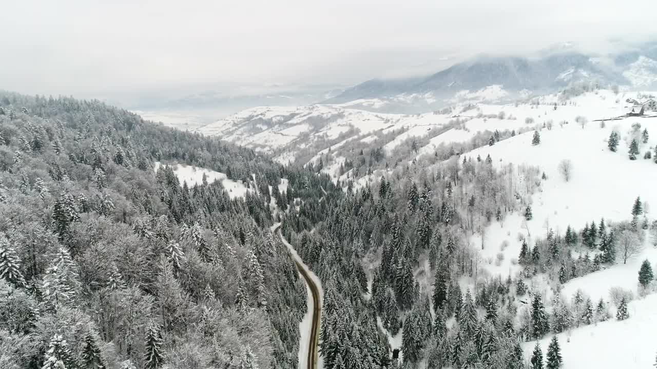 Free Video Stock Stunning Frozen Landscape In The Woods Live Wallpaper