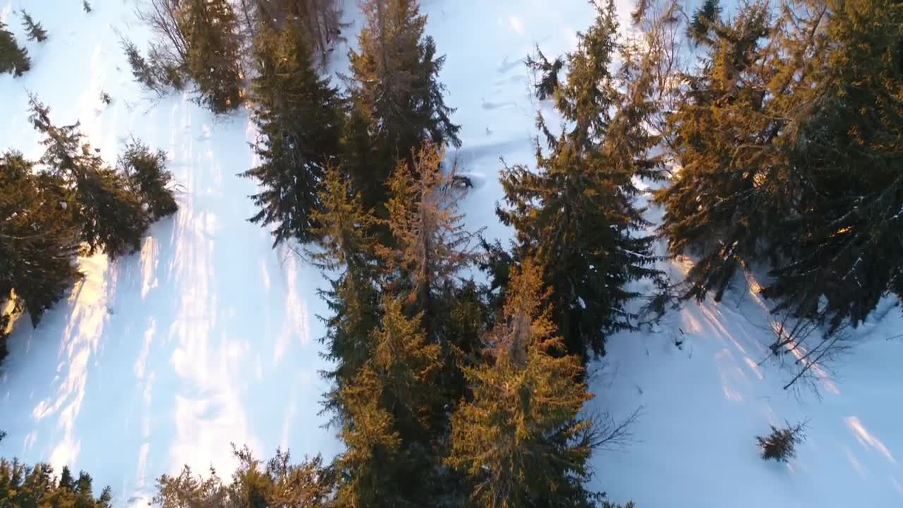 Free Video Stock Stunning Sunrise In A Winter Environment Live Wallpaper