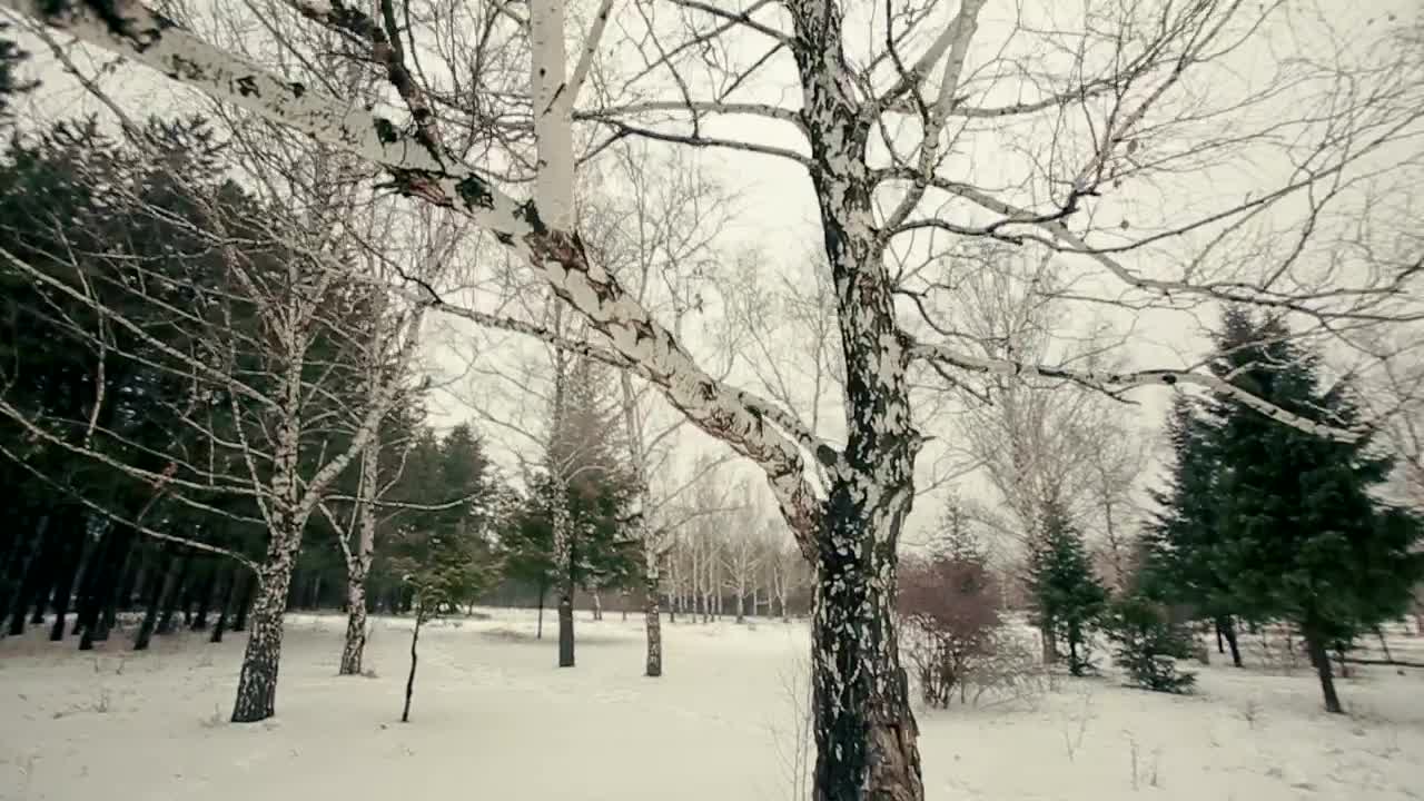 Free Video Stock Stylish Man Walking In The Snow Live Wallpaper