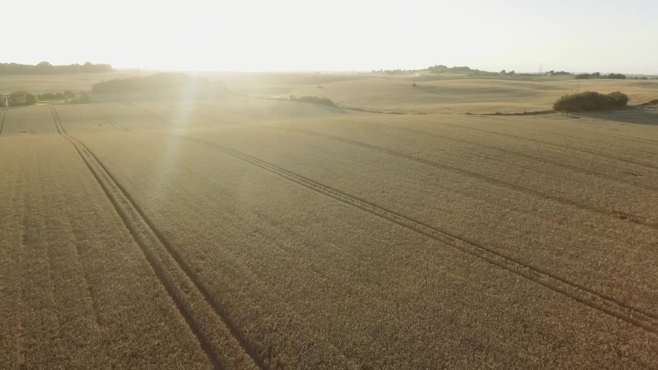 Free Video Stock Summer At The Farm Live Wallpaper