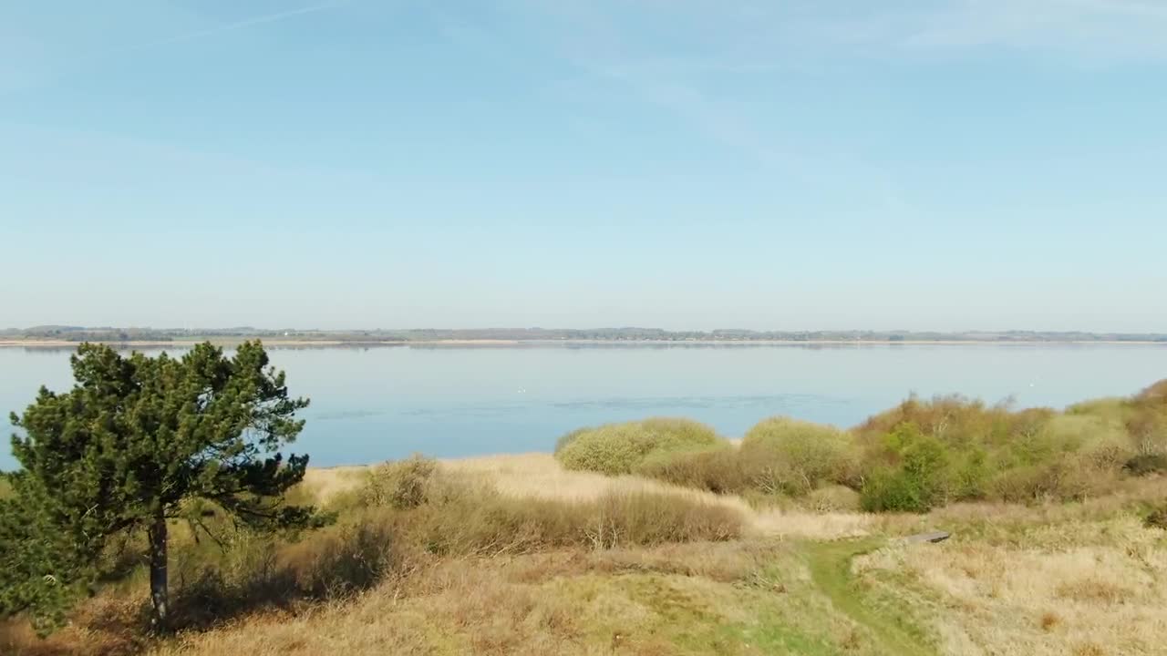 Free Video Stock Summer By The Lake Live Wallpaper