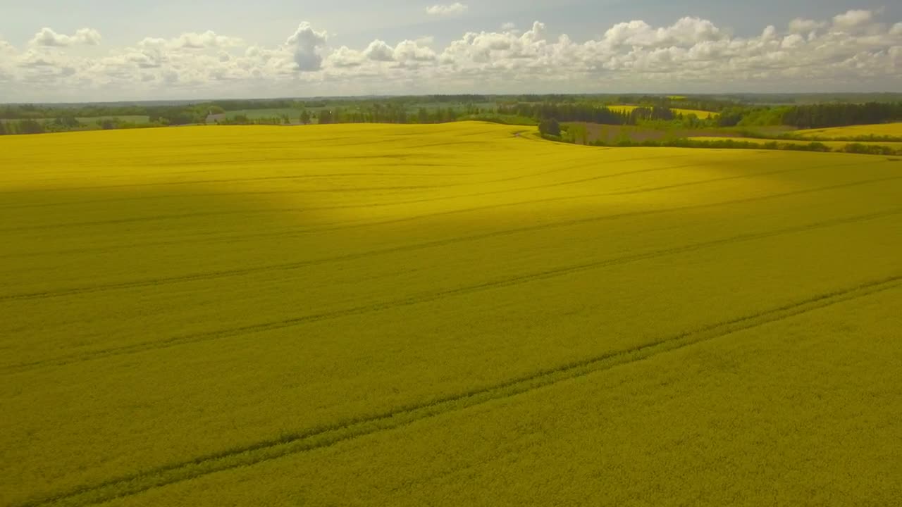 Free Video Stock Summer Fields Aerial Shot Live Wallpaper