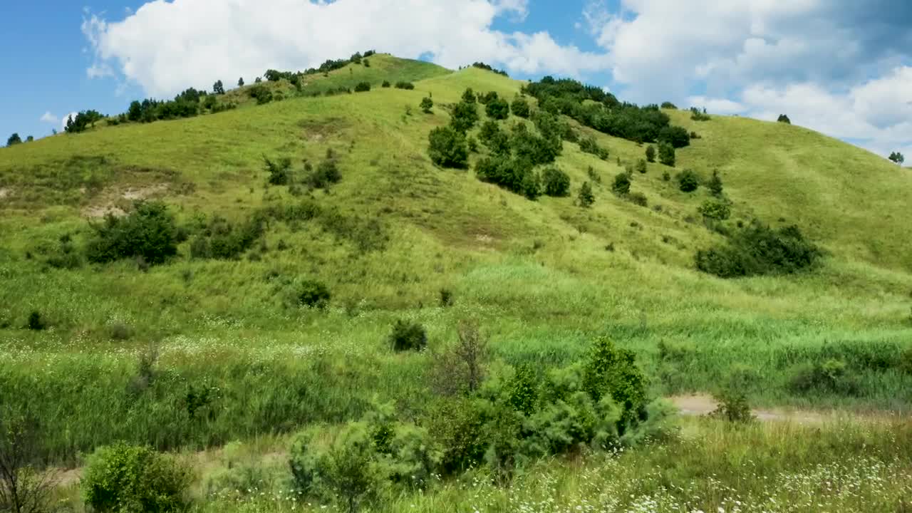 Free Video Stock Summer Fields Covering A Mountain Live Wallpaper